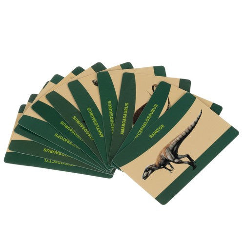 Dinozauru raktuves — Kruzzel izrakumi