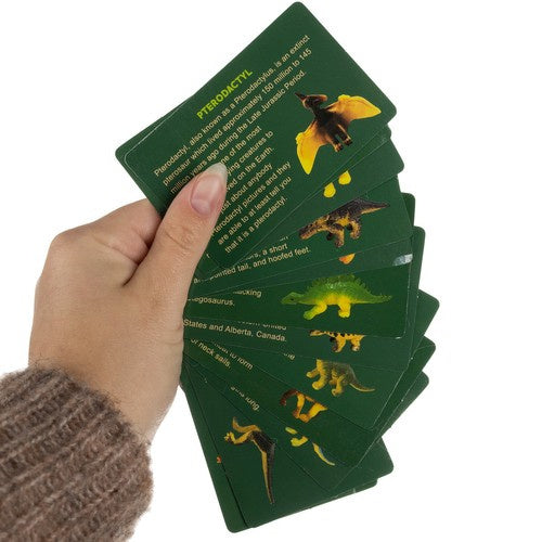 Dinozauru raktuves — Kruzzel izrakumi