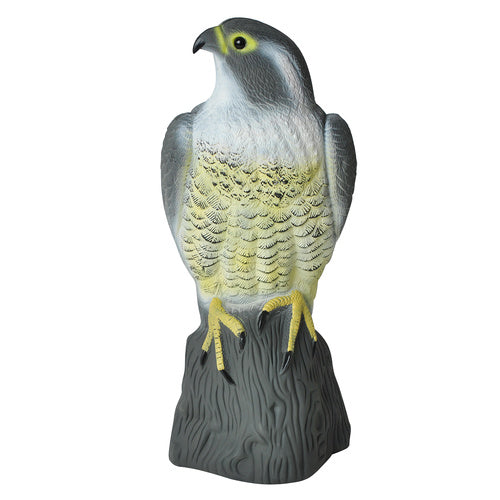 Putnu biedētājs - Piekūns