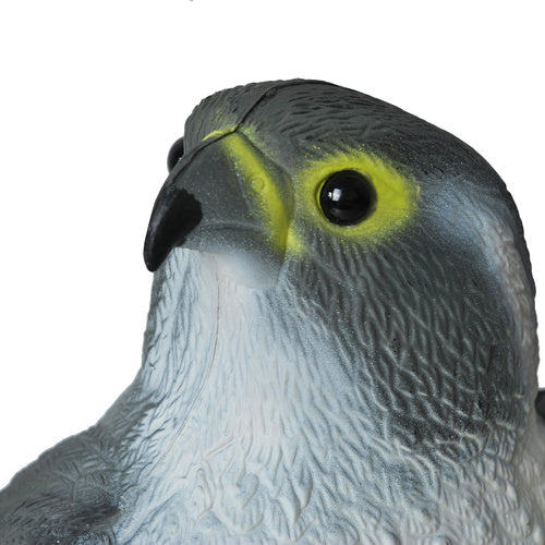 Putnu biedētājs - Piekūns