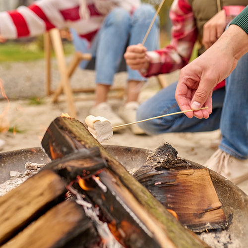 Dārza ugunskura bedre 60 CM