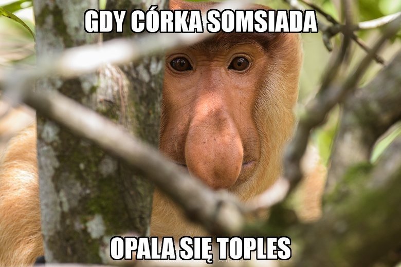 Pērtiķa maska ar garu degunu