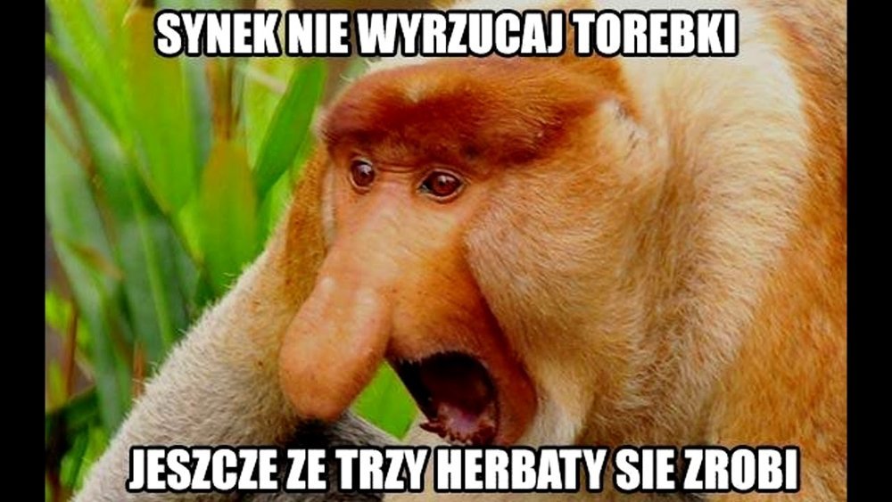 Pērtiķa maska ar garu degunu