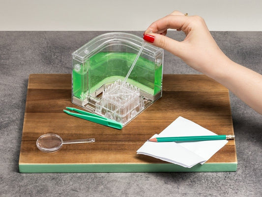 Skudru labirints DELUXE LED - ZAĻS