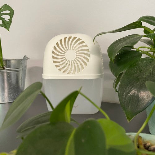 Mitruma absorbētājs