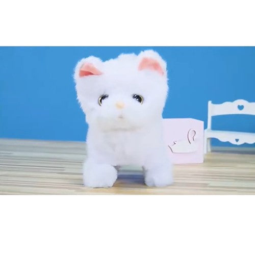 Interaktīvs balts kaķēns