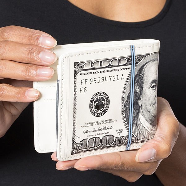 Naudas maks "Dolārs"