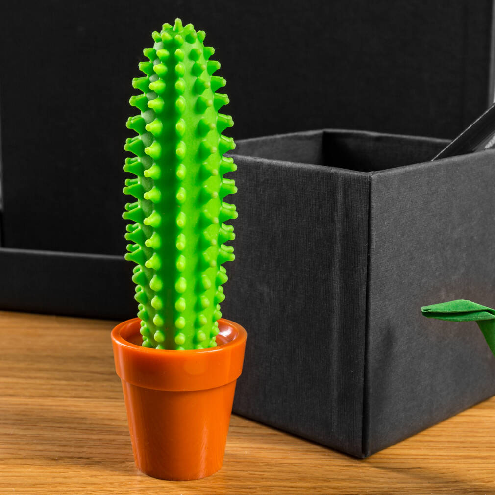 Pildspalva kaktuss, lodīšpildspalva