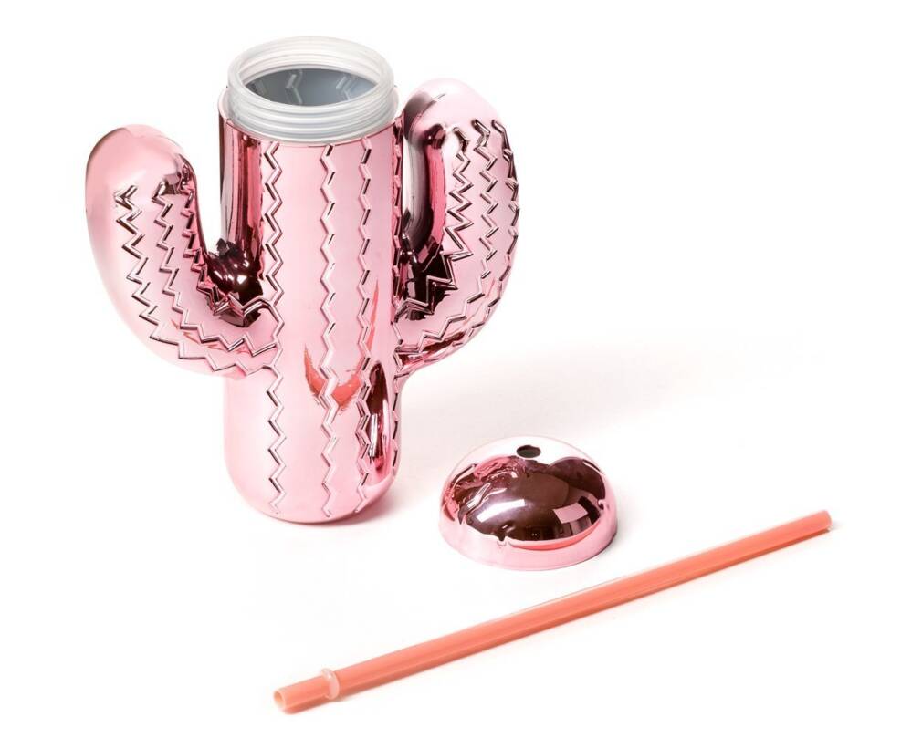 Ballīšu kaktusa pudele ar salmiem