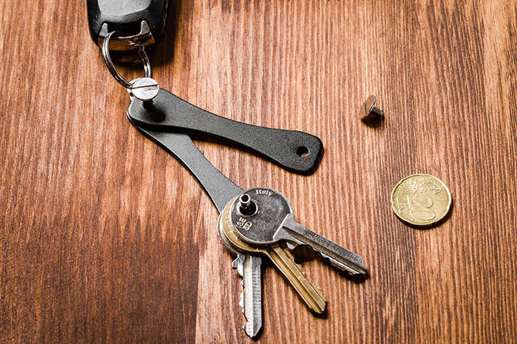 Atslēgas organizators - MELNS