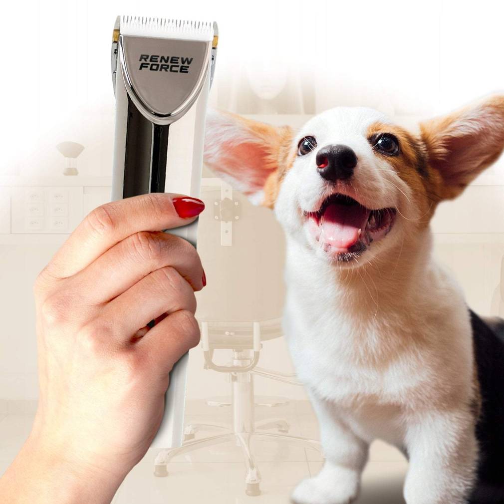 Dzīvnieku spalvu trimmeris