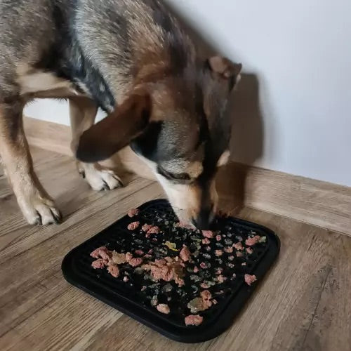 Pretstresa paklājiņš/paplāte