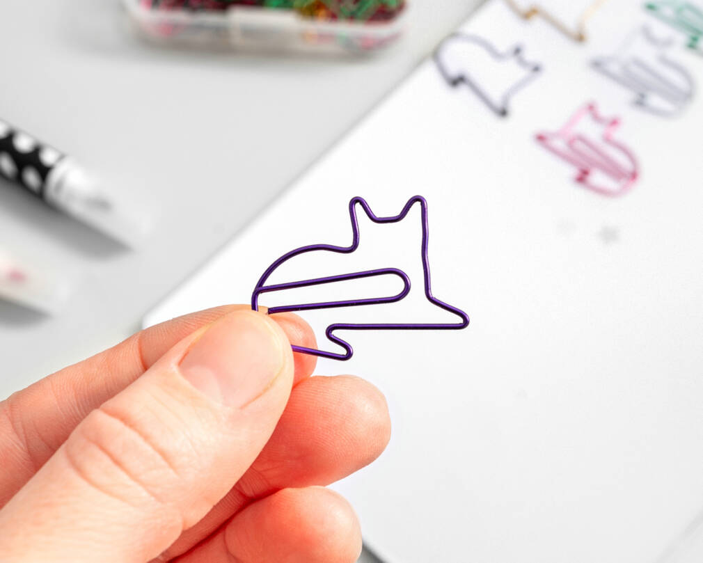 Saspraudes CATS 50 gab