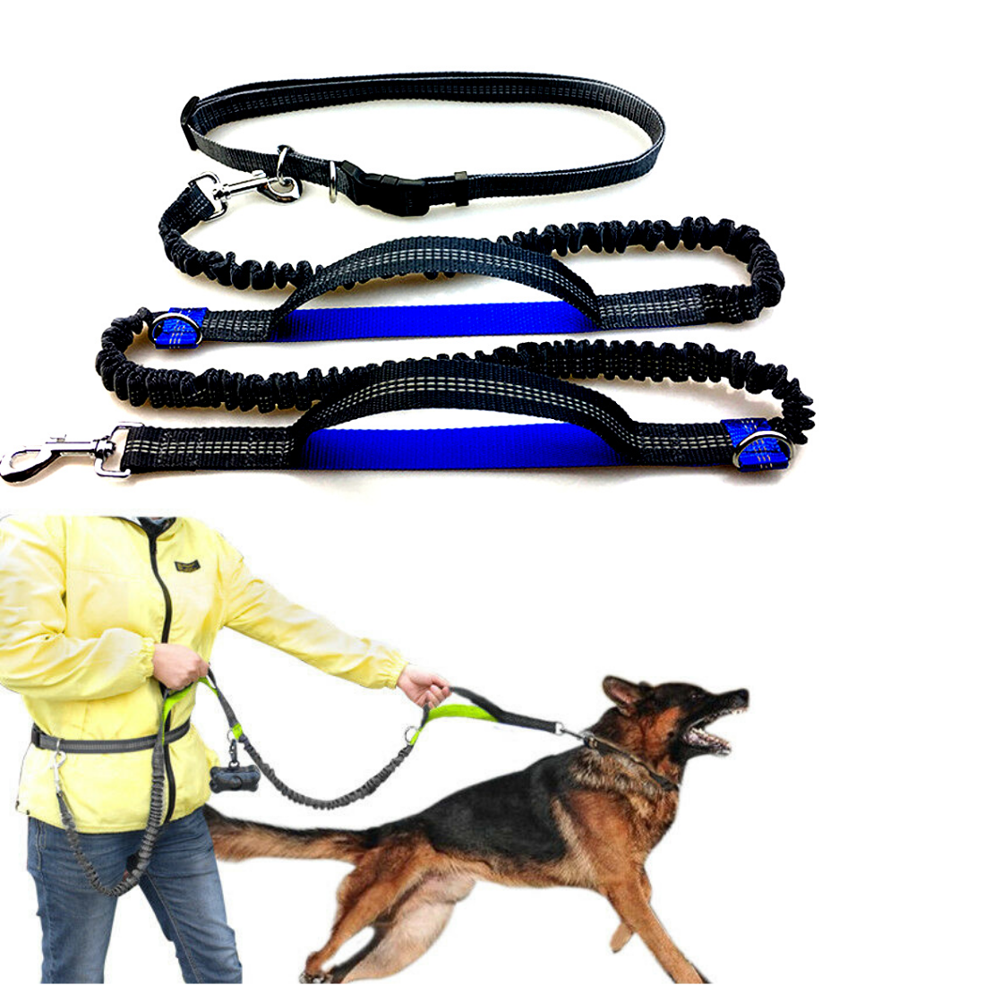 Suņu siksna, brīvroku pavada skriešanai, regulējama