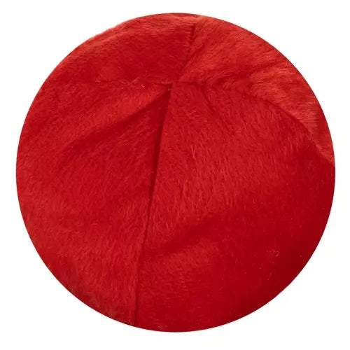 Ziemeļbriežu ragi automašīnai