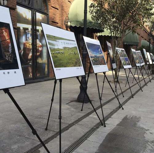 Molberts gleznošanai