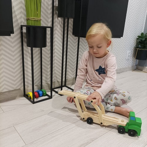 Koka kravas automašīna - evakuators + automašīnu komplekts