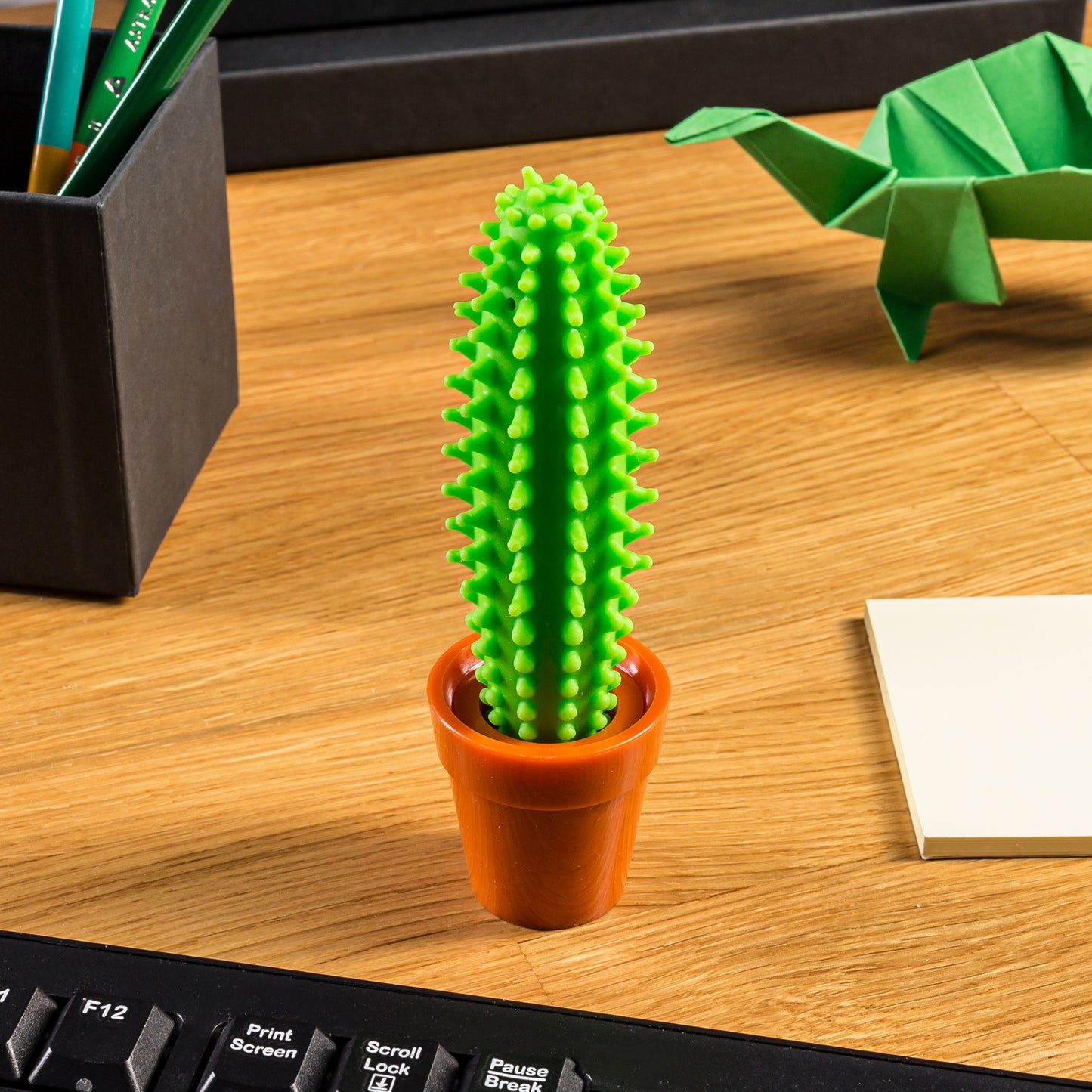 Pildspalva kaktuss, lodīšpildspalva