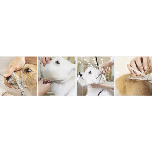 Suņu frizēšanas komplekts