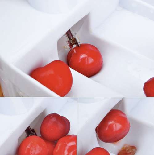 Ķiršu lobišanas aparats