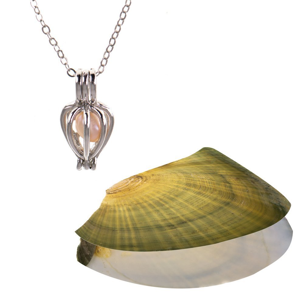 Pērles kaklarota dažādu krāsu