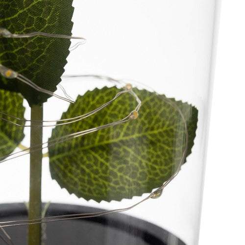 Mūžīgā roze stiklā — mirdzoša