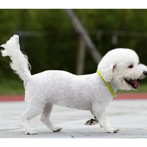 Led gaismas regulējoša apkakle