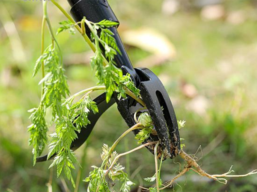 Nezāļu izravēja ekstraktora instruments