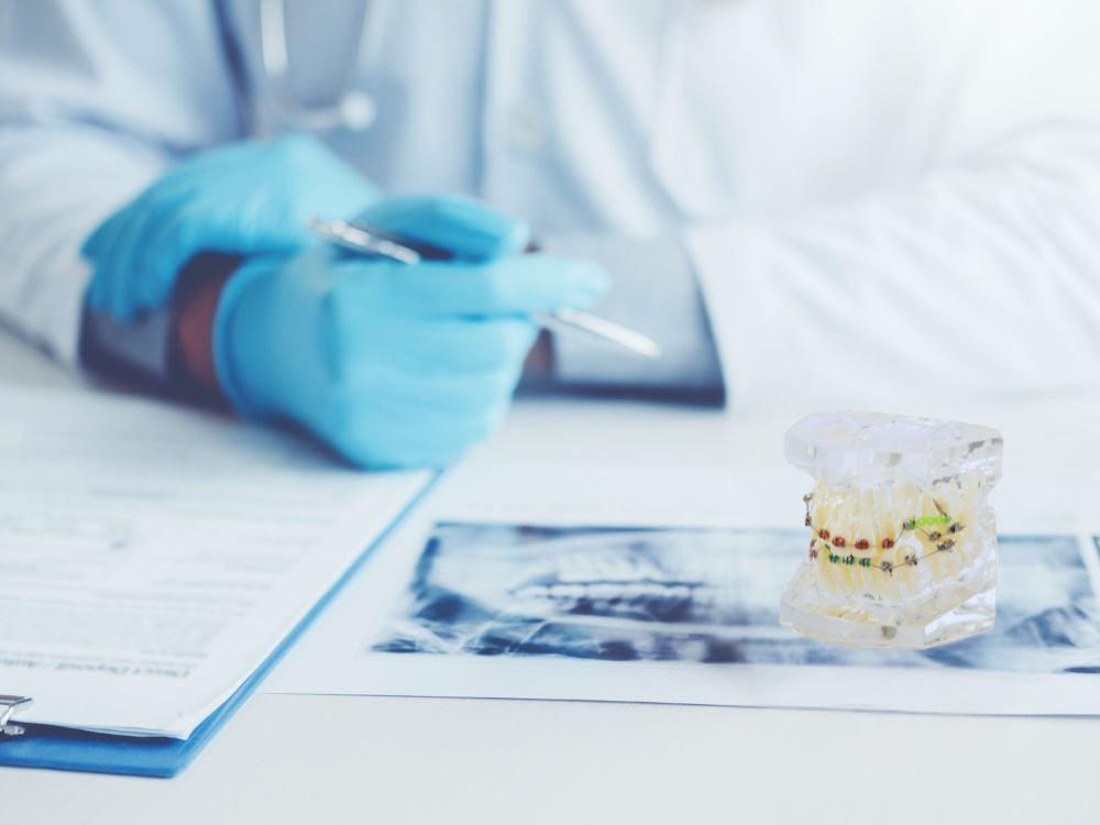 zobu, modelis, žoklis, teeth, zobu, bikšturi