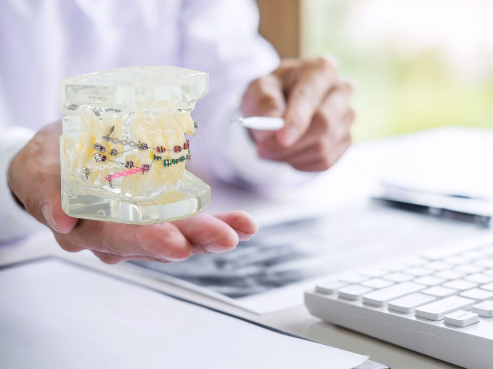 zobu, modelis, žoklis, teeth, zobu, bikšturi