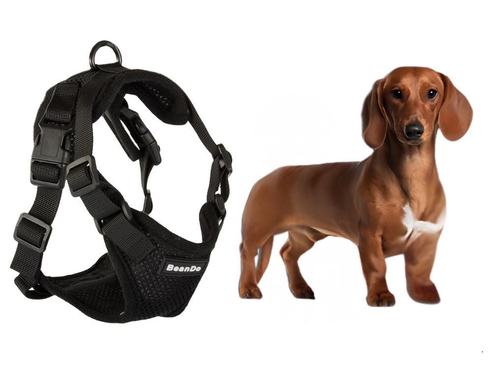 Zeķes bez spiediena pastaigu siksna maziem suņiem, rokturis viegls, mīksts, stiprs, m