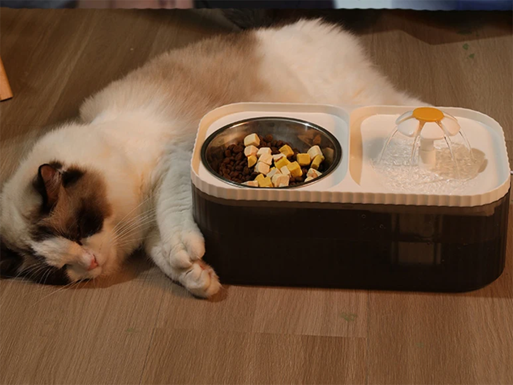 Automātiska kaķu dzirdinātava suņu ūdens strūklaka ar filtru un barības bļodu