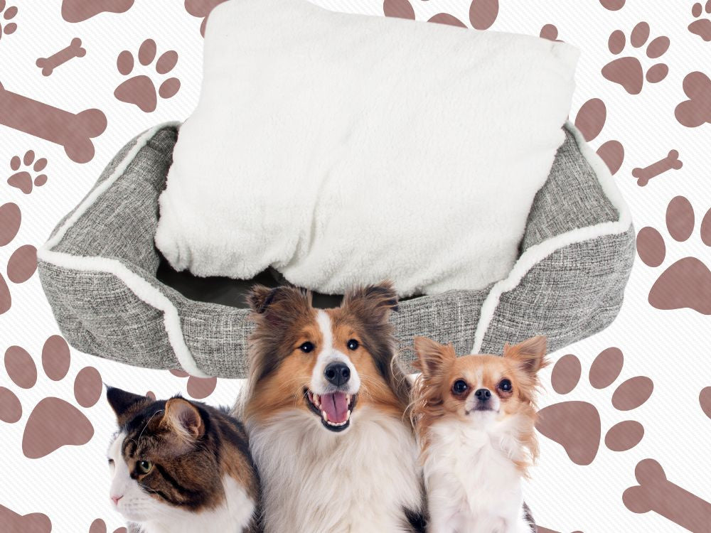 Suņu gulta, mīksta, ērta, pūkaina gulta ar spilvenu, L izmērs