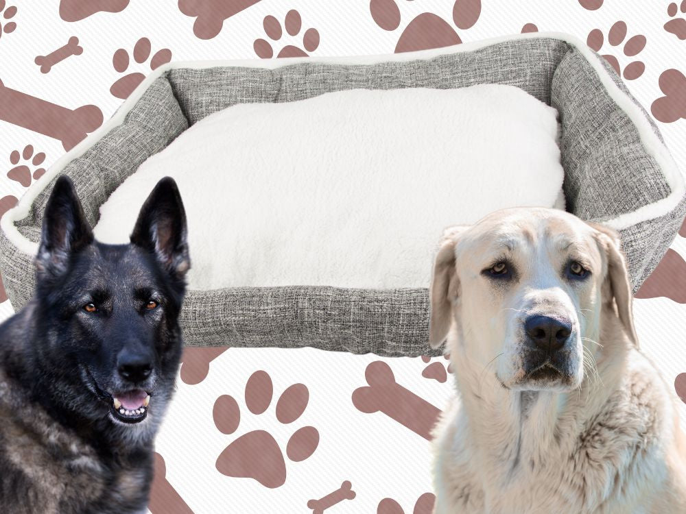 Suņu gulta, mīksta, ērta, pūkaina gulta ar spilvenu, XL izmērs