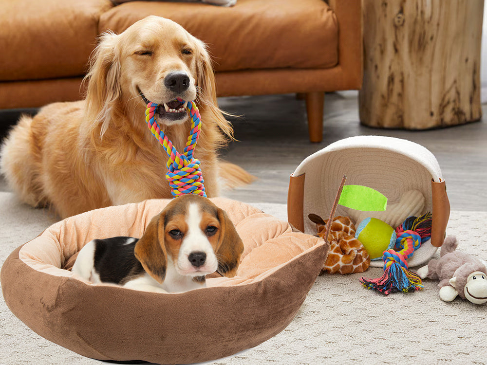 Plīša gultas spilvens suņu rotaļu laukums kaķim mīksta dīvāna gultasveļa