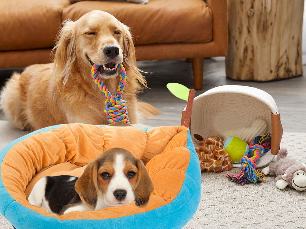 Plīša gultas spilvens suņu rotaļu laukums kaķim mīksta dīvāna gultasveļa