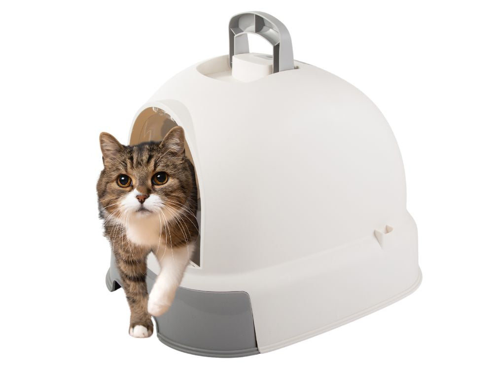 Kaķu pakaišu paplāte, liela, aizvērta, paredzēta kaķu pakaišu lāpstai, izturīga un izvelkama