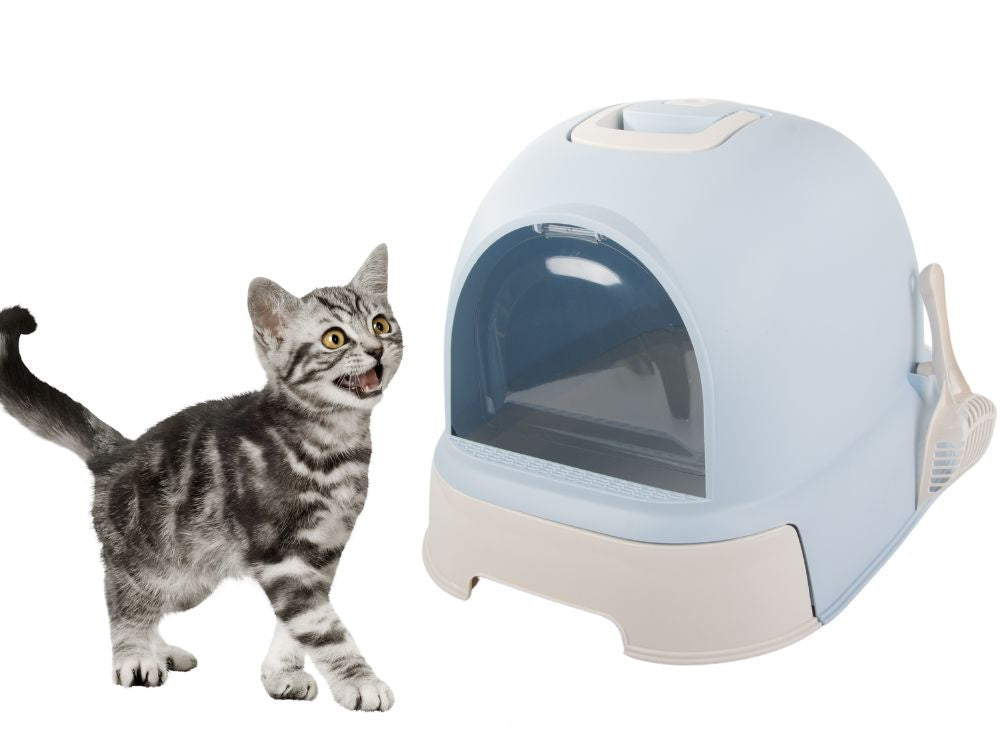 Kaķu pakaišu paplāte, liela, aizvērta, paredzēta kaķu pakaišu lāpstai, izturīga un izvelkama