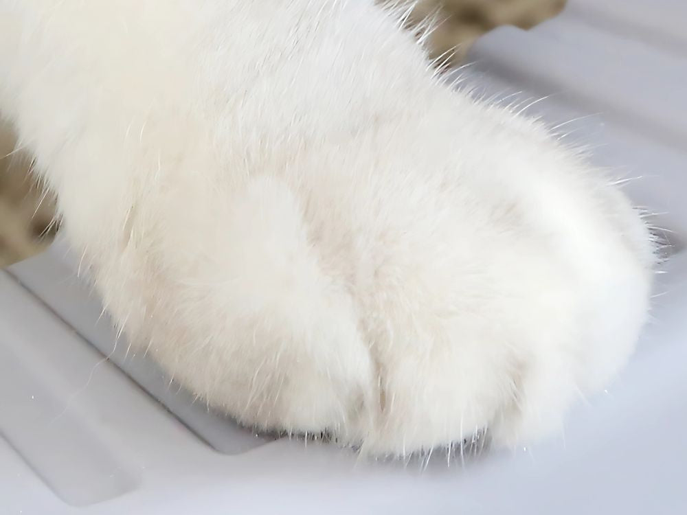 Atvērta tualetes kaste, liela, cieta, ar lāpstiņu un augstu malu