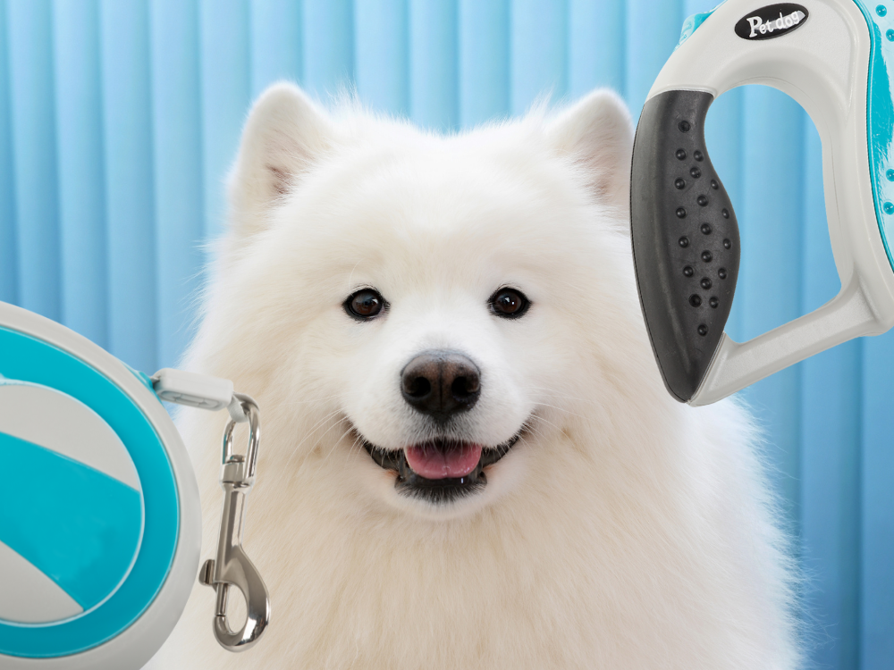 Automātiska pavada 5 m gara sunim līdz 20 kg ar spēcīgu un garu slēdzeni