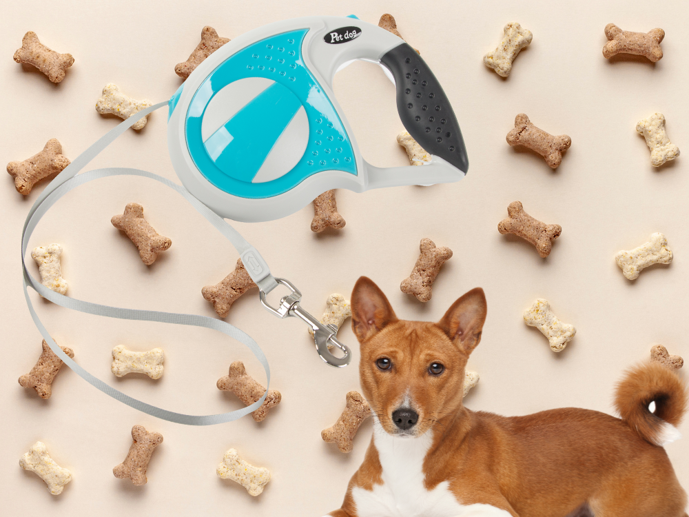 Automātiska pavada 5 m gara sunim līdz 20 kg ar spēcīgu un garu slēdzeni