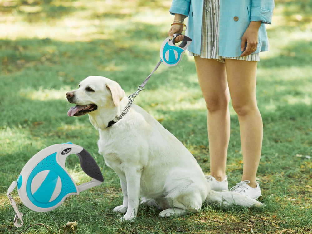 Automātiska pavada 5 m gara sunim līdz 20 kg ar spēcīgu un garu slēdzeni