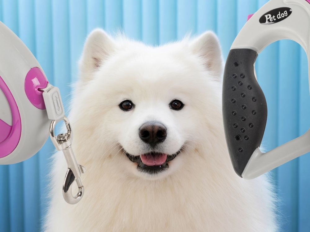 Automātiska pavada 5 m gara sunim līdz 20 kg ar spēcīgu un garu slēdzeni