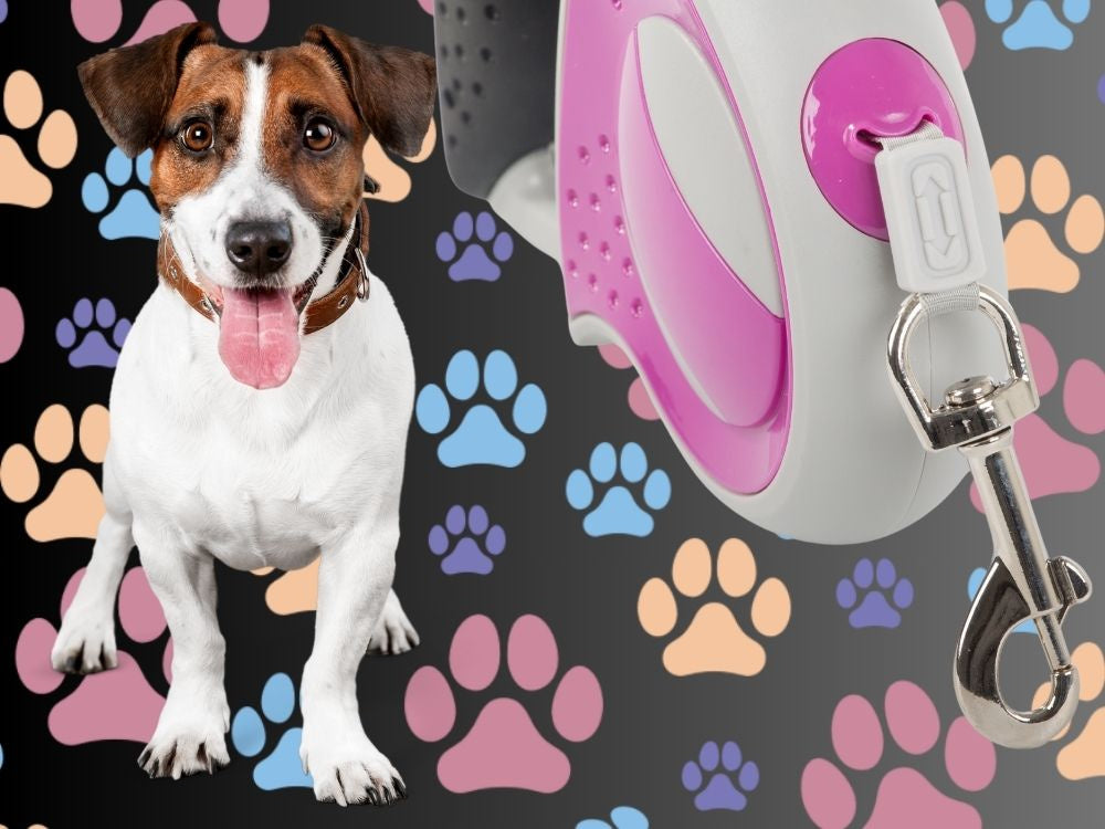 Automātiska pavada 5 m gara sunim līdz 20 kg ar spēcīgu un garu slēdzeni