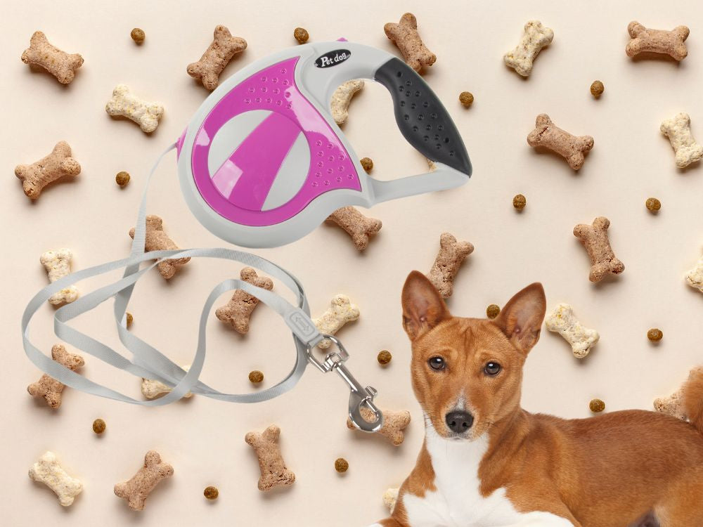 Automātiska pavada 5 m gara sunim līdz 20 kg ar spēcīgu un garu slēdzeni