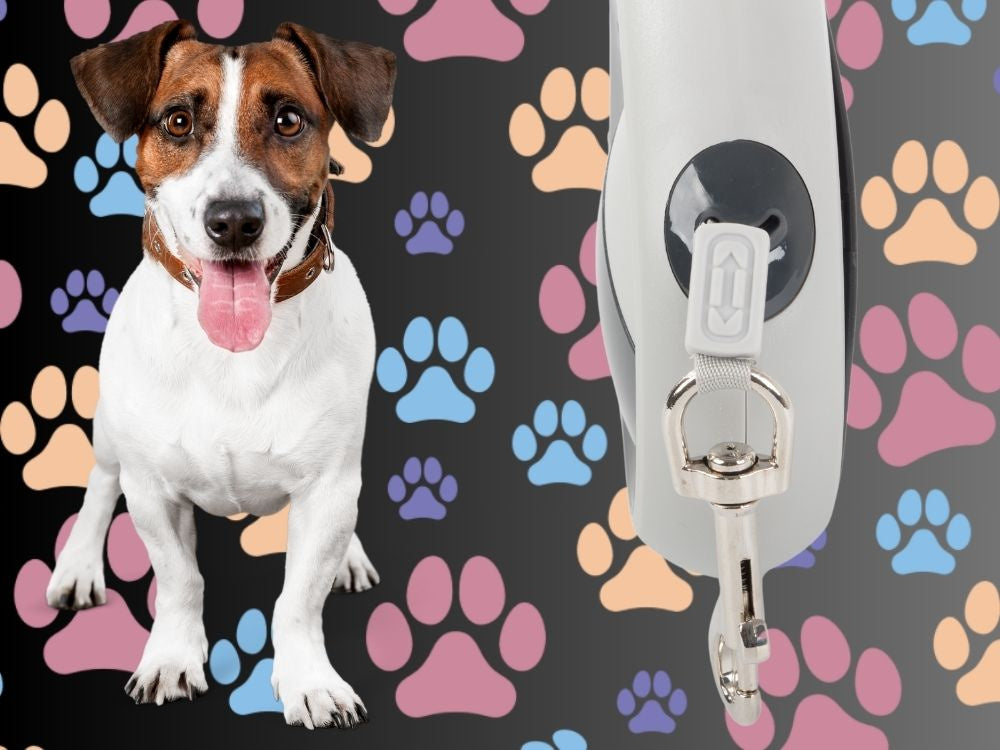 Automātiska pavada 5 m gara sunim līdz 20 kg ar spēcīgu un garu slēdzeni