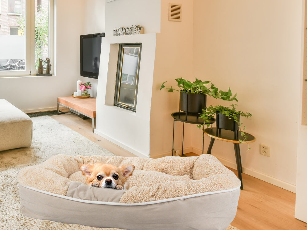 Plīša suņu rotaļu gulta, mīksta spilvena dīvāna gultasveļa, pūkaina