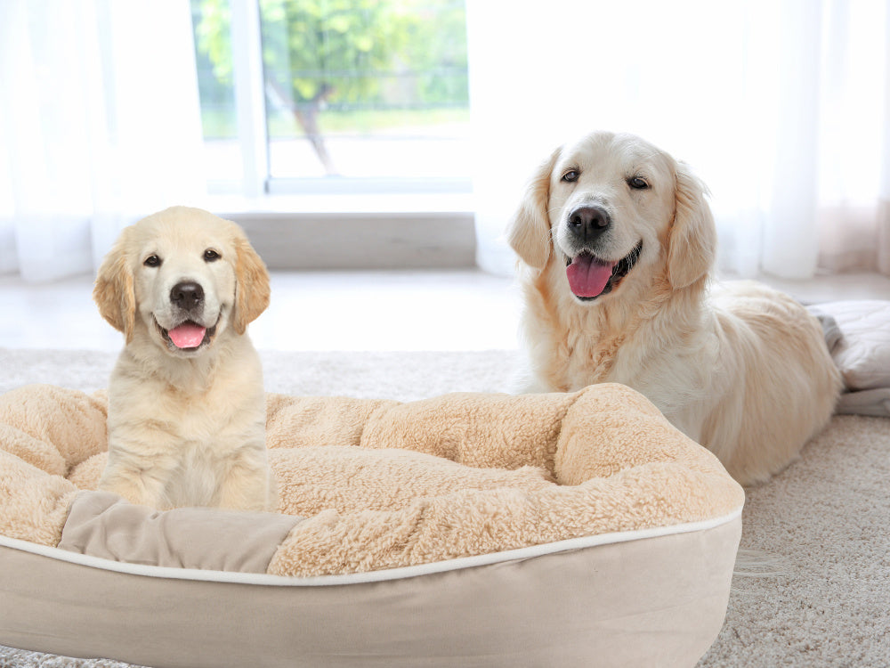 Plīša suņu rotaļu gulta, mīksta spilvena dīvāna gultasveļa, pūkaina