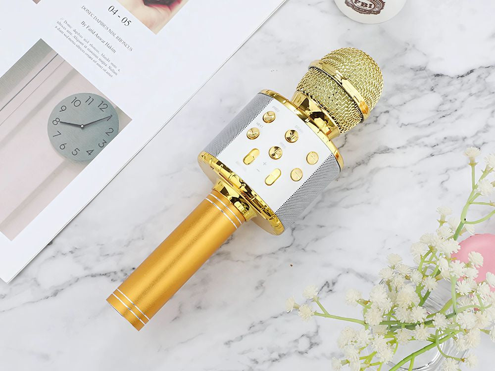 Bezvadu mikrofons Bluetooth karaoke skaļrunis apaļš ar korpusu, dažādi režīmi