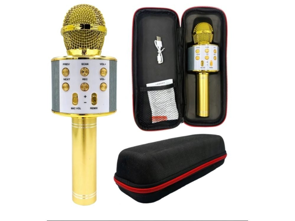 Bezvadu mikrofons Bluetooth karaoke skaļrunis apaļš ar korpusu, dažādi režīmi